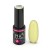 Excellent PRO Colors Limited 813
