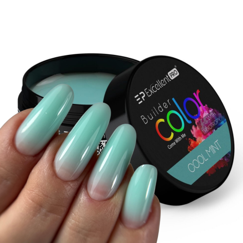 Excellent PRO Builder Color With Thixotropy Pastel Cool Mint