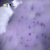 Excellent PRO Cloud Mousse LAVENDER FLOWER 15g