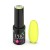 PRO Colors (890) - CITRUS - 7g Excellent PRO