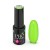 PRO Colors (891) - LIME SHOCK - 7g Excellent PRO