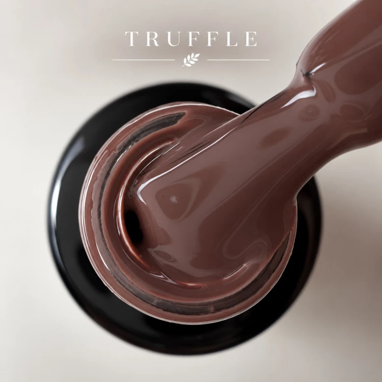 Excellent PRO Colors 895 TRUFFLE 7g