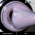 Excellent PRO Colors WOW CAT EYE #5 7g